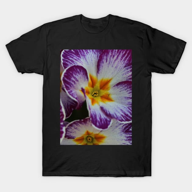 Primula  yellow violett T-Shirt by OVP Art&Design